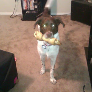 Meet your Posher, Whitney